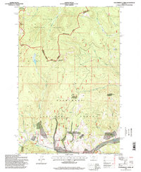 Thunderbolt Creek 1996 topographic map thumbnail