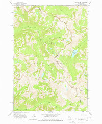 Tin Cup Lake 1964 topographic map thumbnail