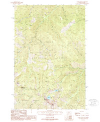 Torino Peak 1988 topographic map thumbnail