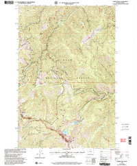 Torino Peak 1999 topographic map thumbnail