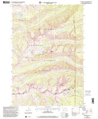 Trapper Peak 1998 topographic map thumbnail