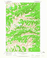 Trapper Peak 1964 topographic map preview