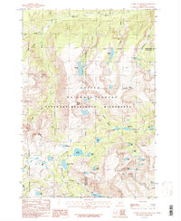 Tumble Mountain 1986 topographic map thumbnail