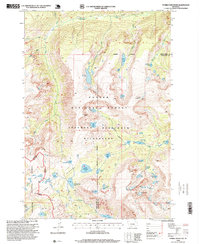 Tumble Mountain 1996 topographic map thumbnail
