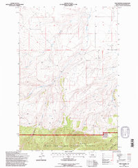 Twin Sisters 1995 topographic map thumbnail