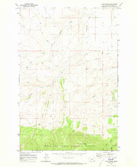 Twin Sisters 1970 topographic map thumbnail
