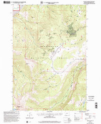 Vipond Park 1997 topographic map thumbnail
