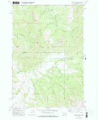 Virginia Peak 1972 topographic map preview