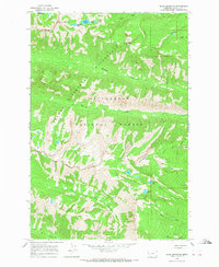 Ward Mountain 1964 topographic map thumbnail