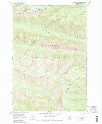 Ward Mountain 1964 topographic map thumbnail