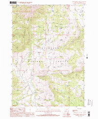 Warm Springs Creek 1988 topographic map preview