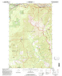 West Glacier 1994 topographic map preview