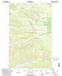 Whale Buttes 1994 topographic map thumbnail
