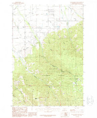 Wheeler Mountain 1987 topographic map thumbnail