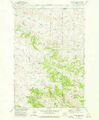Whiskey Coulee 1973 topographic map thumbnail