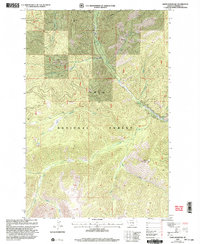 White Mountain 1999 topographic map thumbnail