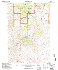 Wickiup Creek 1996 topographic map thumbnail