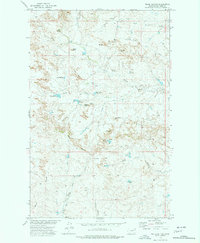 Willis Buttes 1973 topographic map thumbnail