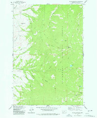 Willow Mountain 1977 topographic map thumbnail