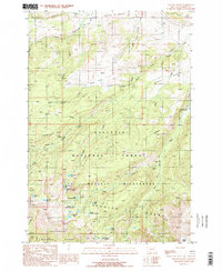 Willow Swamp 1988 topographic map thumbnail
