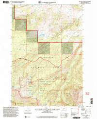 Willow Swamp 2000 topographic map thumbnail