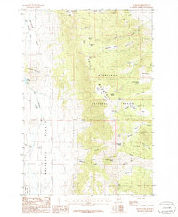 Wilson Park 1985 topographic map thumbnail