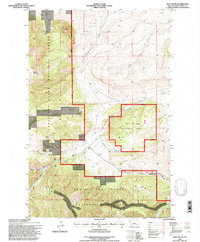 Wolf Butte 1995 topographic map thumbnail