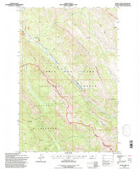 Wood Lake 1995 topographic map thumbnail
