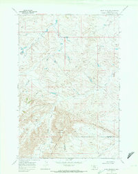 Woody Mountain 1969 topographic map thumbnail