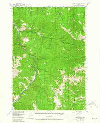 Garnet Mountain 1955 topographic map thumbnail
