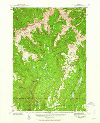 Mt Wallace 1940 topographic map thumbnail