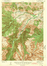 Mt Wood 1939 topographic map thumbnail