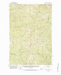 Piquett Mtn topographic map thumbnail