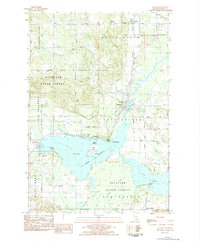 Alanson 1983 topographic map thumbnail
