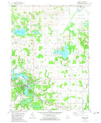 Allegan 1981 topographic map thumbnail