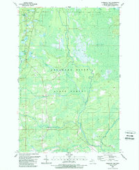 Anderson Lake 1989 topographic map thumbnail