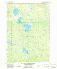 Backus Lake 1963 topographic map thumbnail