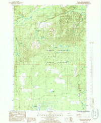 Baraga Plains 1985 topographic map thumbnail