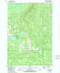 Barton City 1989 topographic map thumbnail