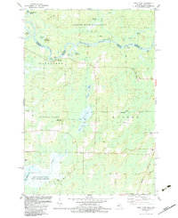 Bear Point 1982 topographic map preview