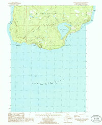 Beaver Island South 1986 topographic map thumbnail