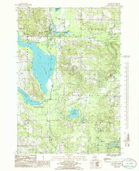 Bellaire 1985 topographic map thumbnail