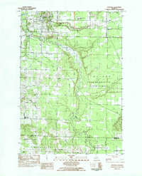 Benzonia 1983 topographic map thumbnail