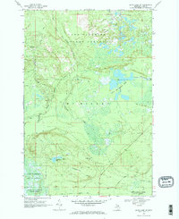 Betsy Lake SW 1968 topographic map thumbnail
