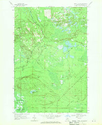 Betsy Lake SW 1968 topographic map thumbnail