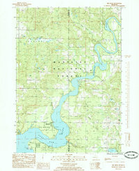 Big Bend 1985 topographic map thumbnail