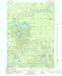 Big Blue Lake 1985 topographic map thumbnail