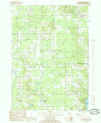 Big Prairie 1985 topographic map thumbnail