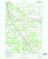 Birch Run North 1967 topographic map thumbnail
