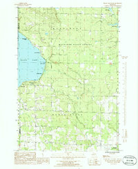 Black Lake Bluffs 1986 topographic map thumbnail